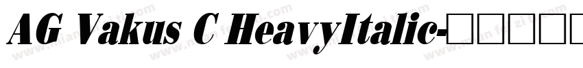 AG Vakus C HeavyItalic字体转换